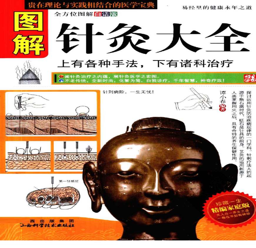 图解针灸大全.pdf 免费下载